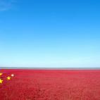 Esta playa no está cubierta por arena sino por plantas. Es la marisma más grande del mundo, y su arena está cubierta de juncos y cañas bañados por el mar con los cambios de las mareas. El rojizo aparece entre abril y noviembre con la florac...