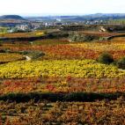 Charlar con los amigos es un plan que a todo el mundo le gusta, y si lo hacemos al tiempo que disfrutamos de un buen vino riojano, pues la propuesta parece irrechazable. Esto mismo es lo que nos proponen desde Rioja Trek. En el mismo centro de ...