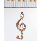 5c8af47a360000e01c6c5440