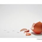 5c8af47b2500000d04c9e833