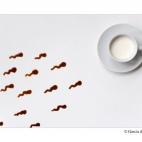 5c8af47b240000f7054cb779