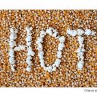 5c8af47f360000c81a6c5452