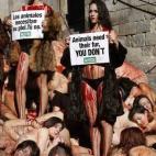 5c8b1dbe2000009e04702de4