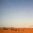 Estimación de emisiones de CO2 en 2010 (en miles de toneladas métricas): 493,726 (Foto: MARWAN NAAMANI/AFP/Getty Images)