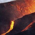 5c8b1dd3360000c81a6c8048