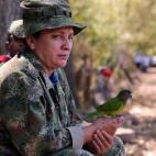 5c8abc3d2400006c05a396ab