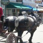 Para unas vacaciones sin prisas ni estrés, y sobre todo sin coches, la isla de Capri es uno de los destinos más recomendables. La única forma de llegar a la isla es en ferry y, una vez allí, caminar es la mejor manera de descubrir y disfruta...