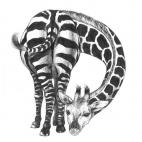 5c8af5d92300007f0123f972