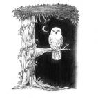 5c8af5d922000030001a25a9