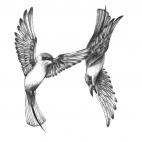 5c8af5da2400006c05a3f520