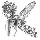 5c8af5db20000045047003b6