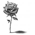 5c8af5db230000dd0423f97a