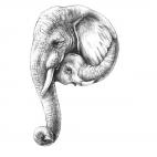 5c8af5dd2500001304c9e9bc