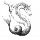 5c8af5de2000009d037003bc