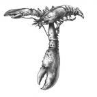 5c8af5de360000a61b6c55b0