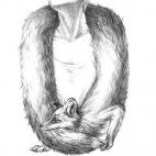 5c8af5de3b000054066cd6e0