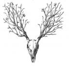 5c8af5de2300002f00e770fb