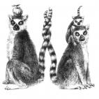 5c8af5df230000d50423f980