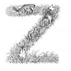 5c8af5df360000a61b6c55b2