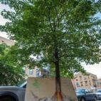 5c8b82812300003000e8604b