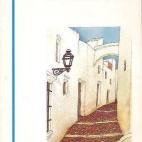 5c8b1e9522000030001a52a0