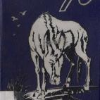 5c8b1e9624000093024ce51c