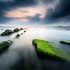 5c8b662b360000c81a6cfc95