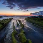 5c8b662c360000a61b6cfc9c