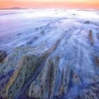 5c8b662c360000c81a6cfc9f