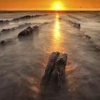 5c8b662d2300007f0124a2db