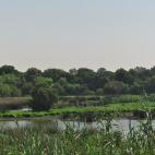 Si vives en Huelva y aún no has visitado Doñana, tienes una cuenta pendiente con la naturaleza. De nuevo te propondremos ahorrarte hasta la mitad de lo que te costaría la gasolina y tiempo de espera si compartes coche con algún amigo o utili...