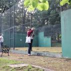 'Bonus track'. Lo que parece una pista de pádel en Meirás