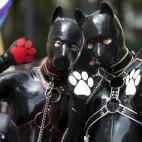 5c8ab259360000ba1a6be5ce