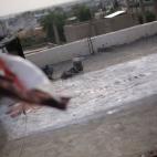 5c8a66a5360000ba1a6b6ebd