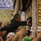 5c8b5e8e2300000401248eb7