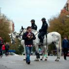 5c8b69c03b000002076d8666