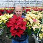 Desde ramos de flores naturales (aunque no es muy buena época) hasta de las tuyas: corta un esqueje de alguna planta que sea importante para ti y regálala con un mensaje.