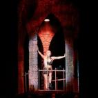 Imágenes de sus conciertos este año.