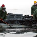 Pescadores en la ría de Arousa, a la altura de Aguiño (Ribeira, A Coruña) retirando crudo con sus propios útiles.
