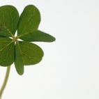 Es bastante más probable que ganar el Gordo: 1 probabilidad de entre 10.000 frente a 1 entre 100.000.