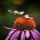 5c8b75ba200000450470d113