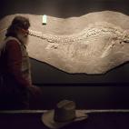 Robert Bakker, curador de paleontología del museo.