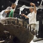 La muerte de esta mamá del jurásico, preservada y eternizada en un esqueleto fosilizado, será una de las principales atracciones en la sala de dinosaurios.