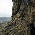 5c8aba9f230000d5042397f0