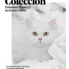 5c8b789b2300002f00e8482a