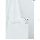 5c8b789c22000051001afe46