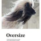 5c8b789c230000d50424d1c0