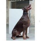 5c8b789c360000e01c6d2b3f