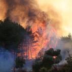 610a376e28000066ad703bf0