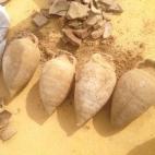 5c8aa7a62500005806817cb9